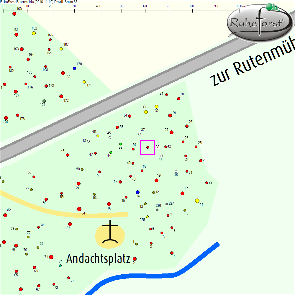 Detailkarte zu Baum 38