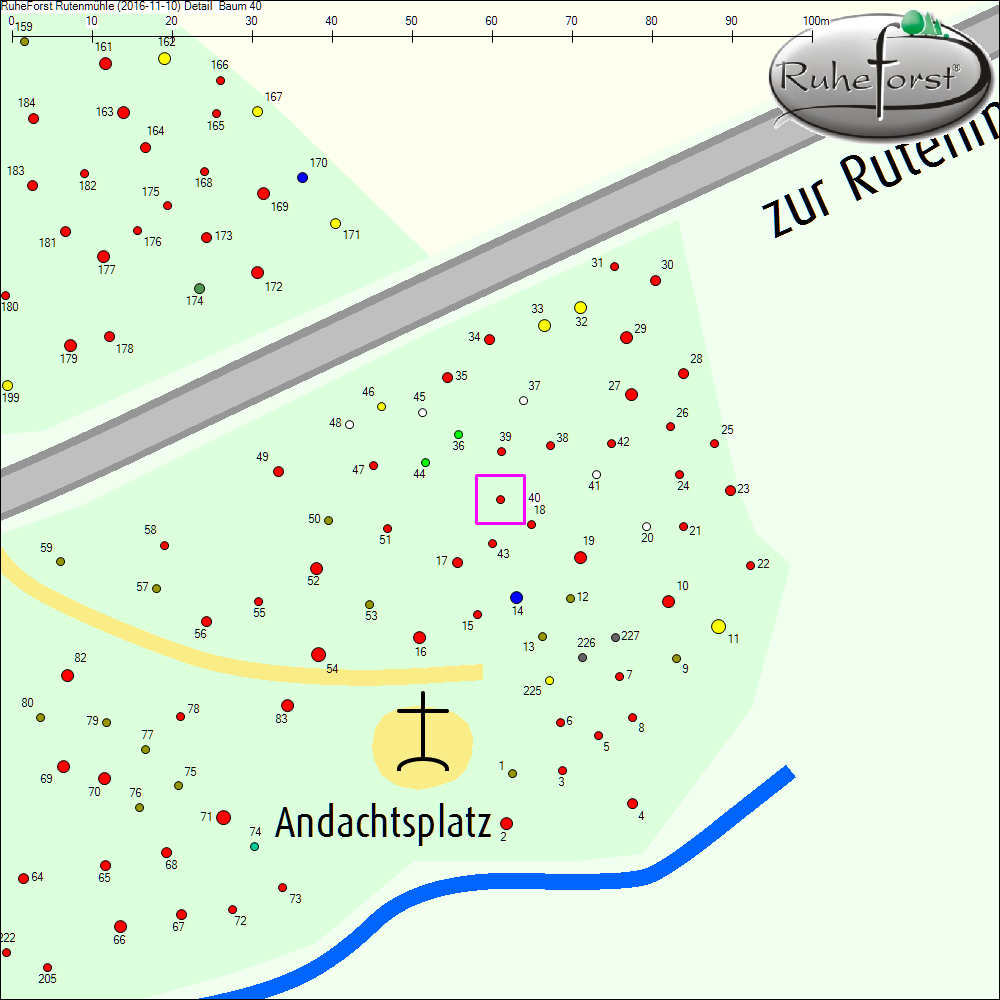 Detailkarte zu Baum 40