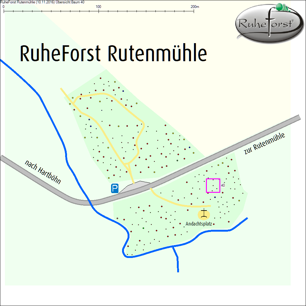 &Uuml;bersichtskarte zu Baum 40