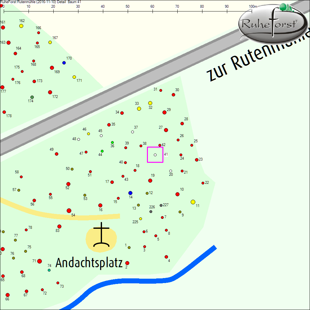 Detailkarte zu Baum 41