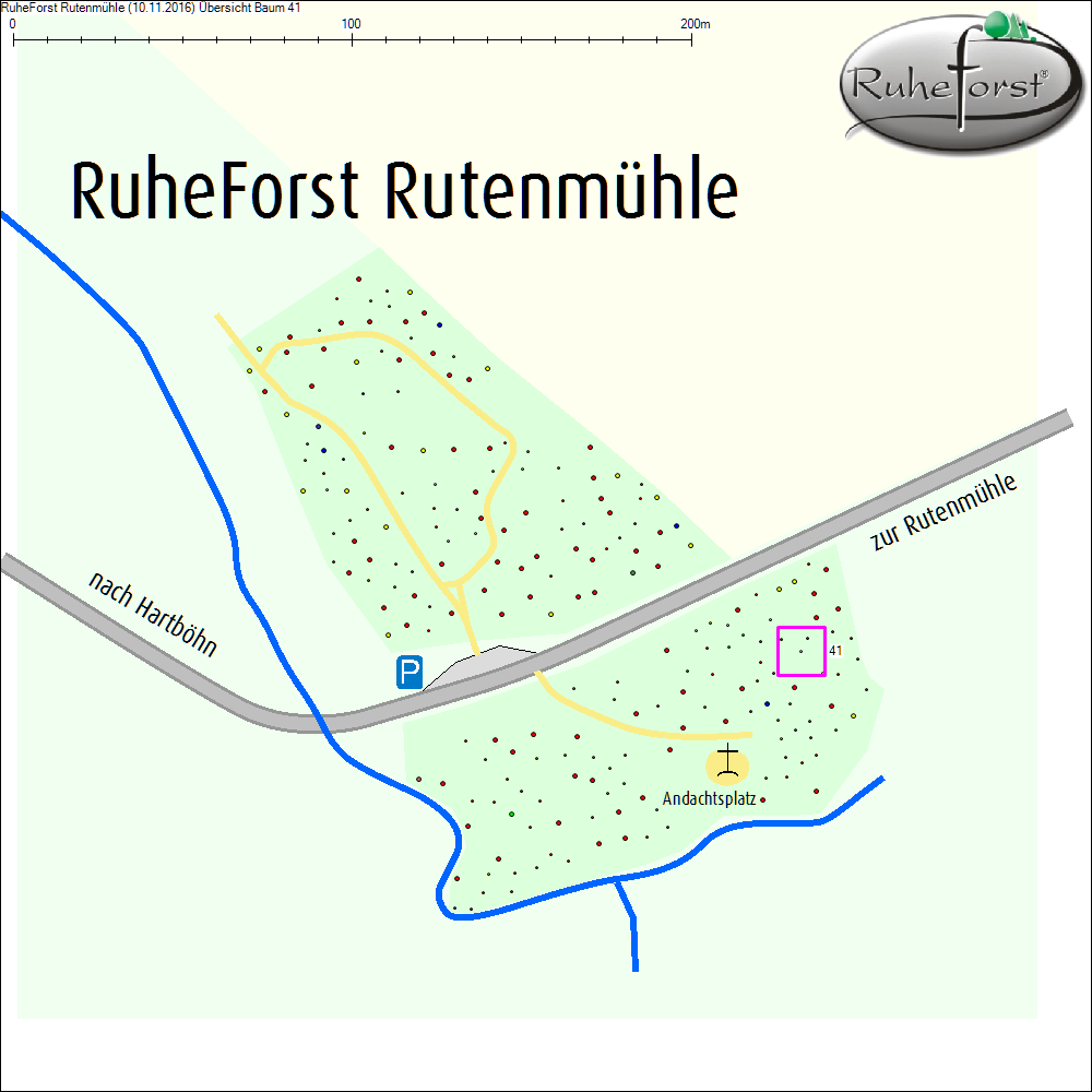 &Uuml;bersichtskarte zu Baum 41