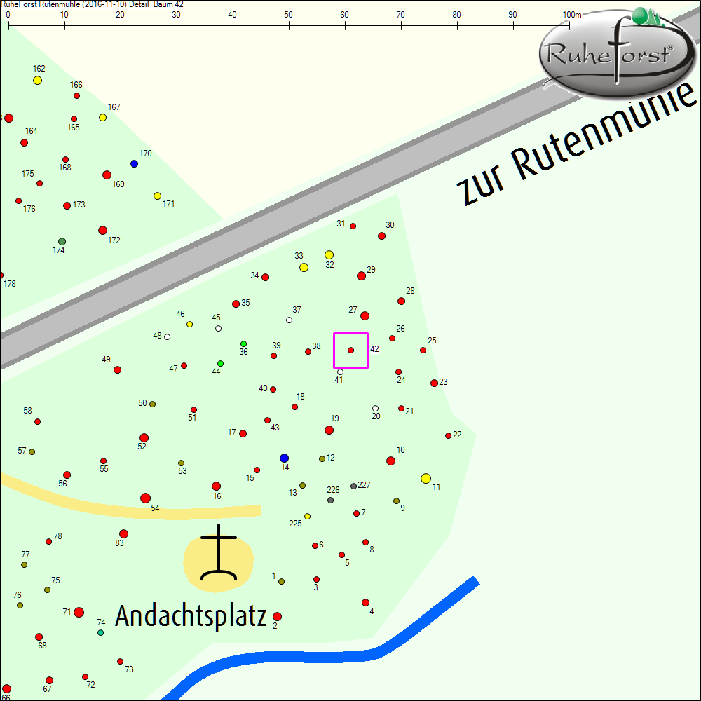 Detailkarte zu Baum 42