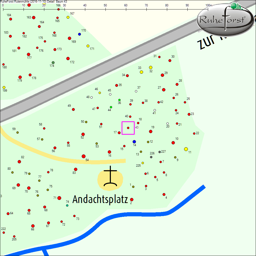 Detailkarte zu Baum 43