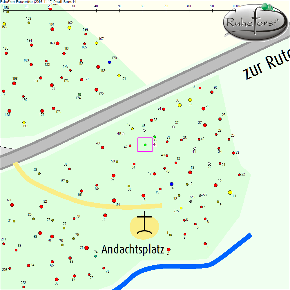 Detailkarte zu Baum 44