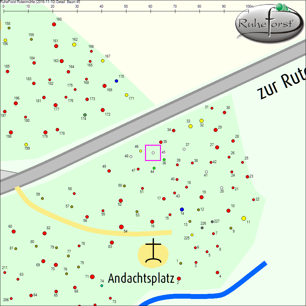Detailkarte zu Baum 45