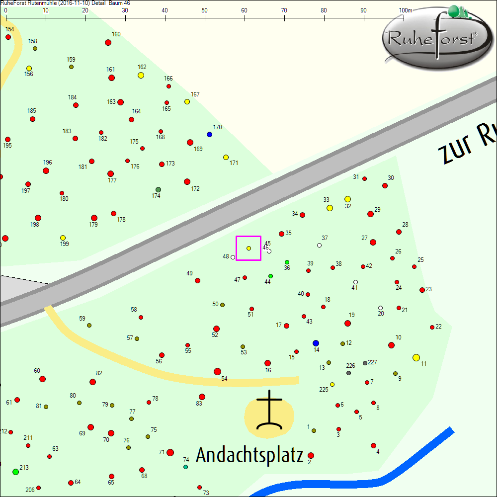 Detailkarte zu Baum 46