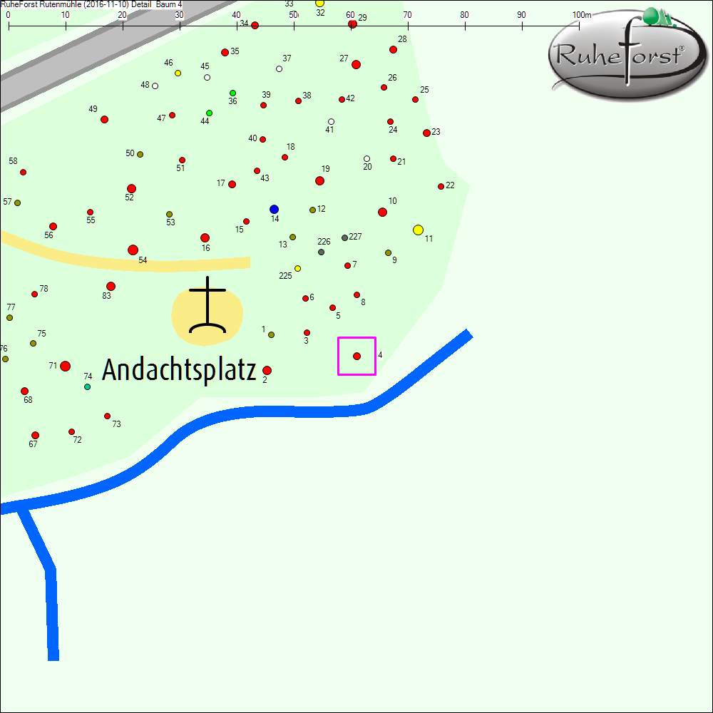 Detailkarte zu Baum 4