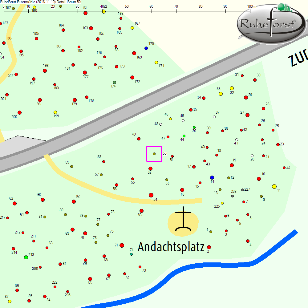 Detailkarte zu Baum 50