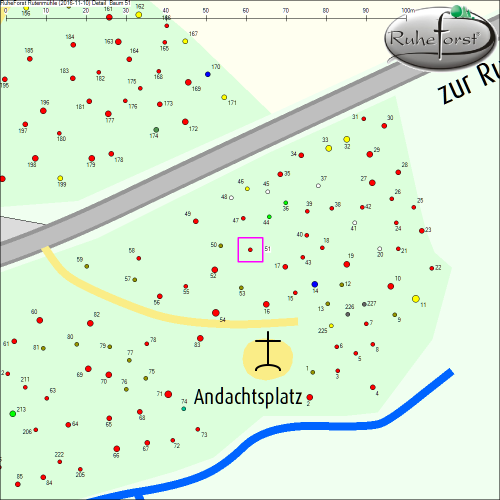 Detailkarte zu Baum 51