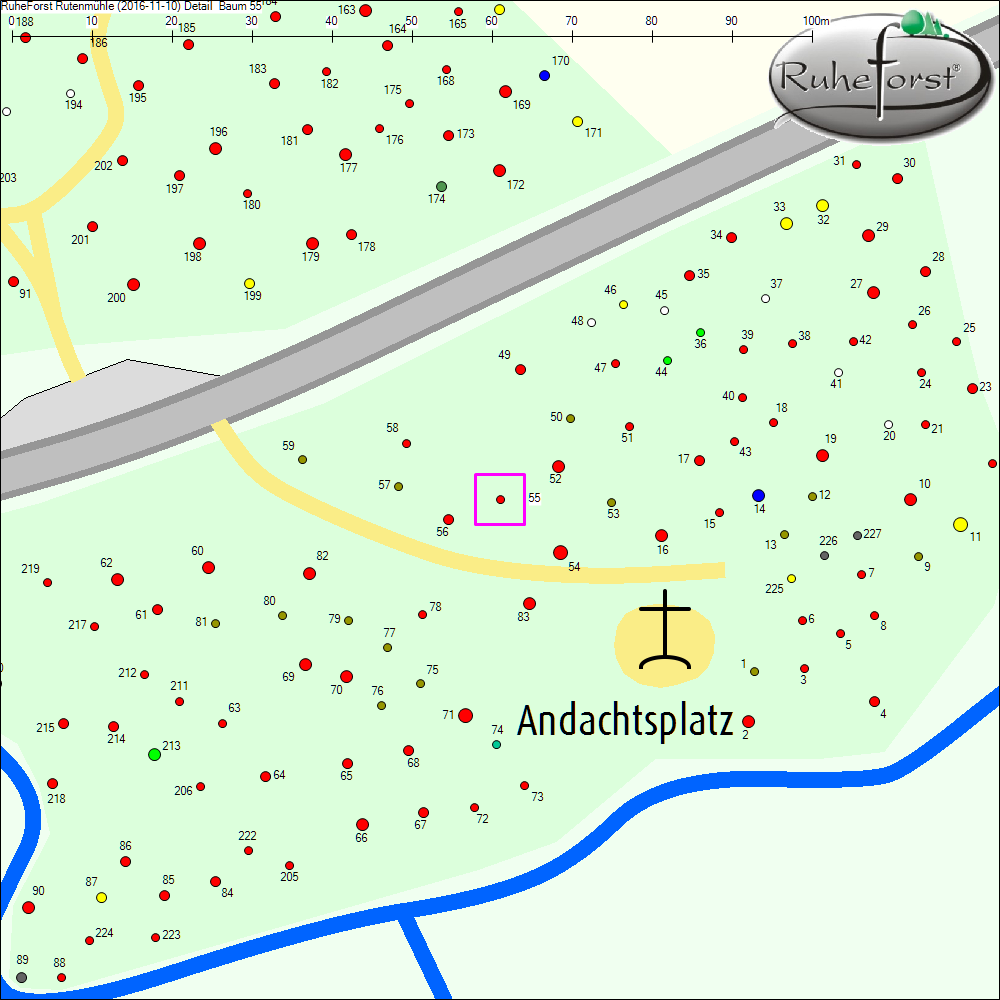 Detailkarte zu Baum 55