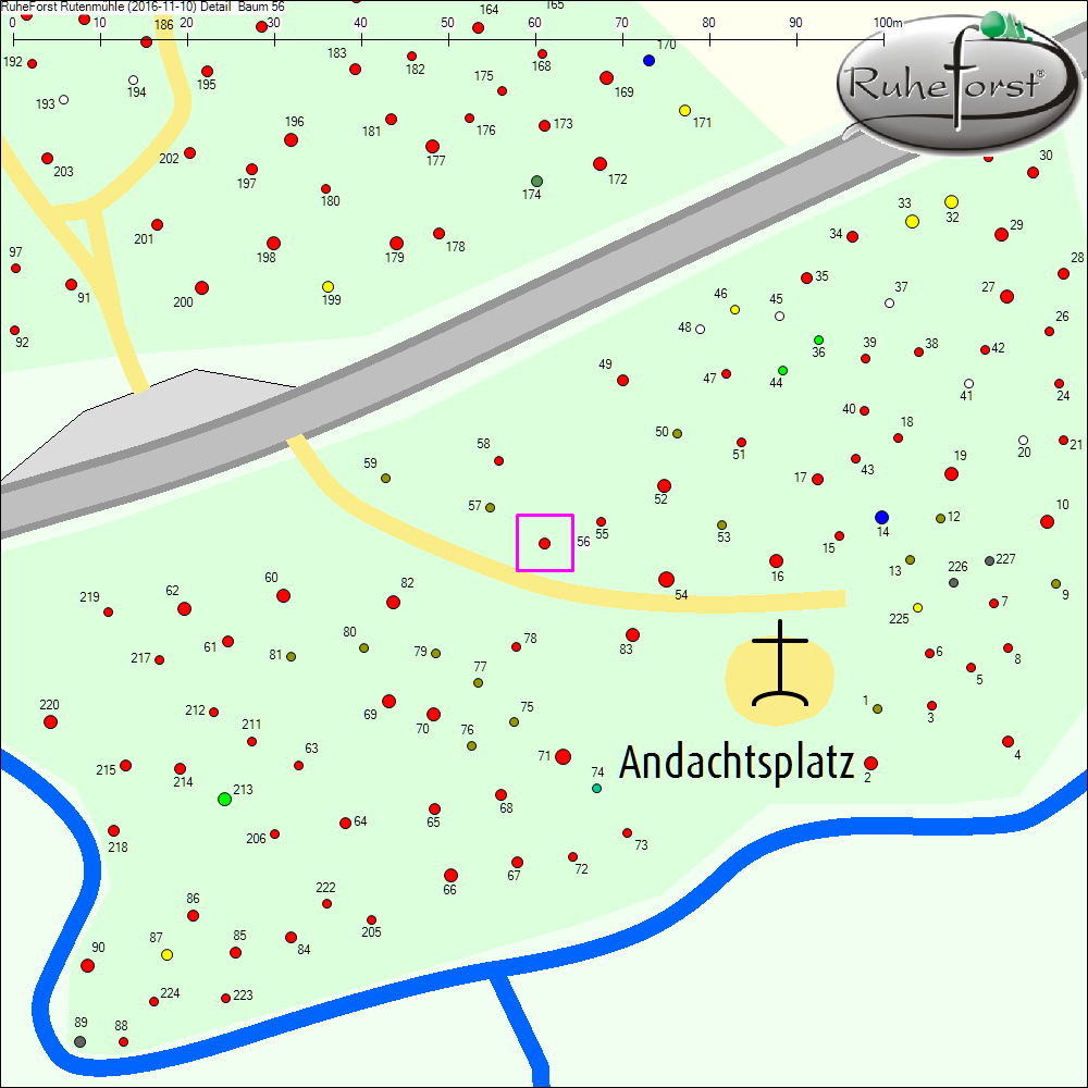 Detailkarte zu Baum 56