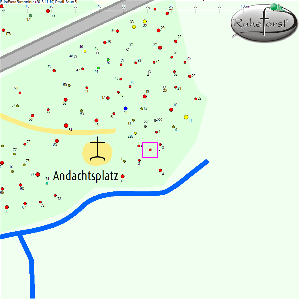 Detailkarte zu Baum 5