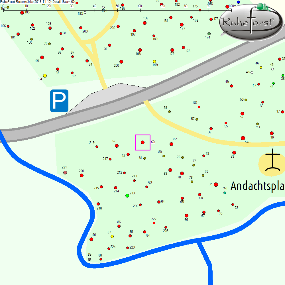 Detailkarte zu Baum 60