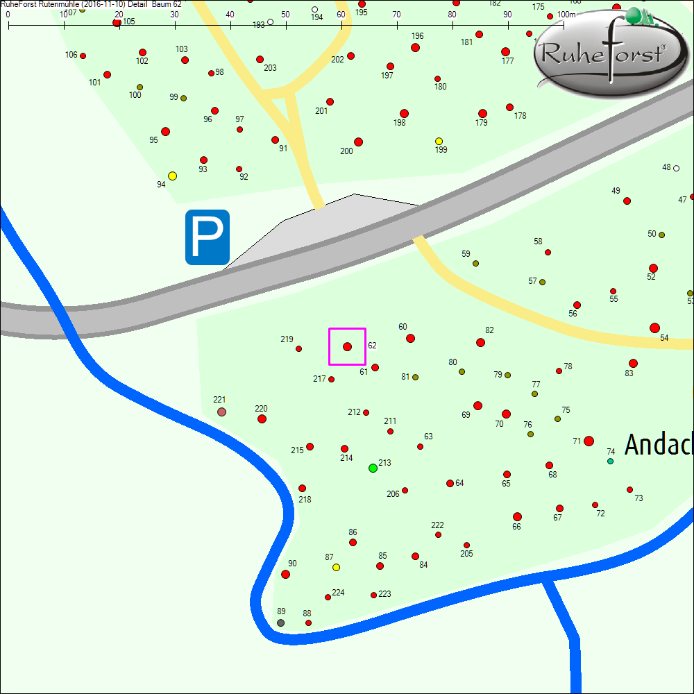 Detailkarte zu Baum 62
