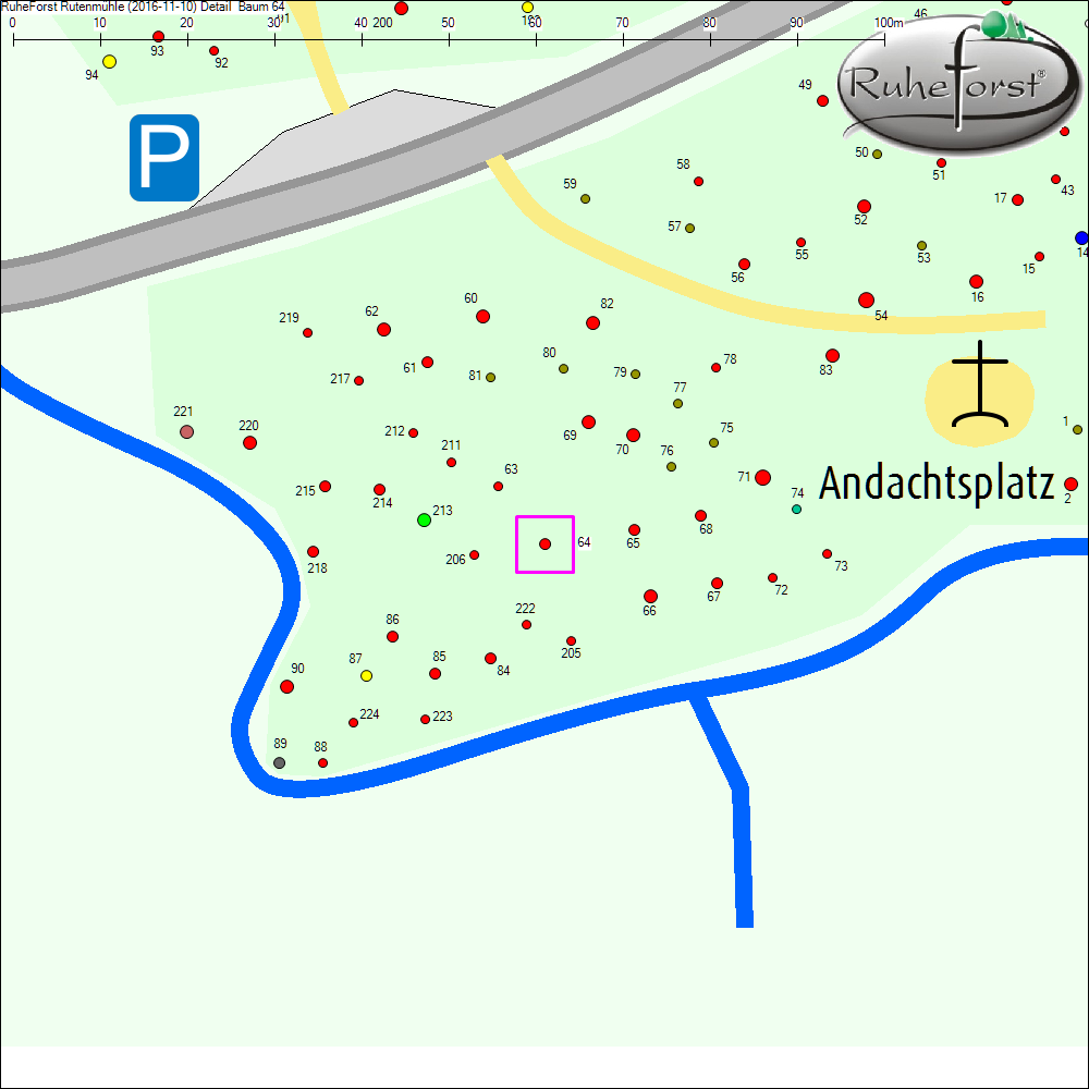 Detailkarte zu Baum 64