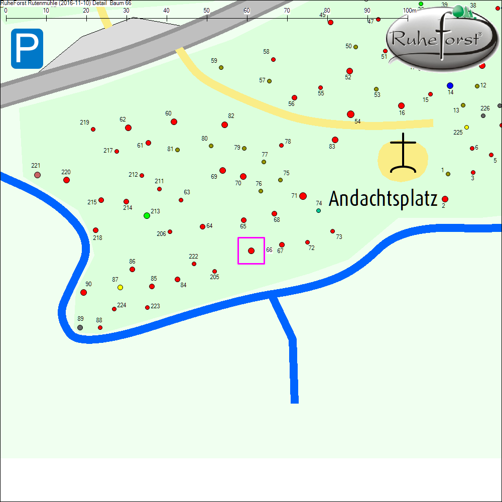 Detailkarte zu Baum 66