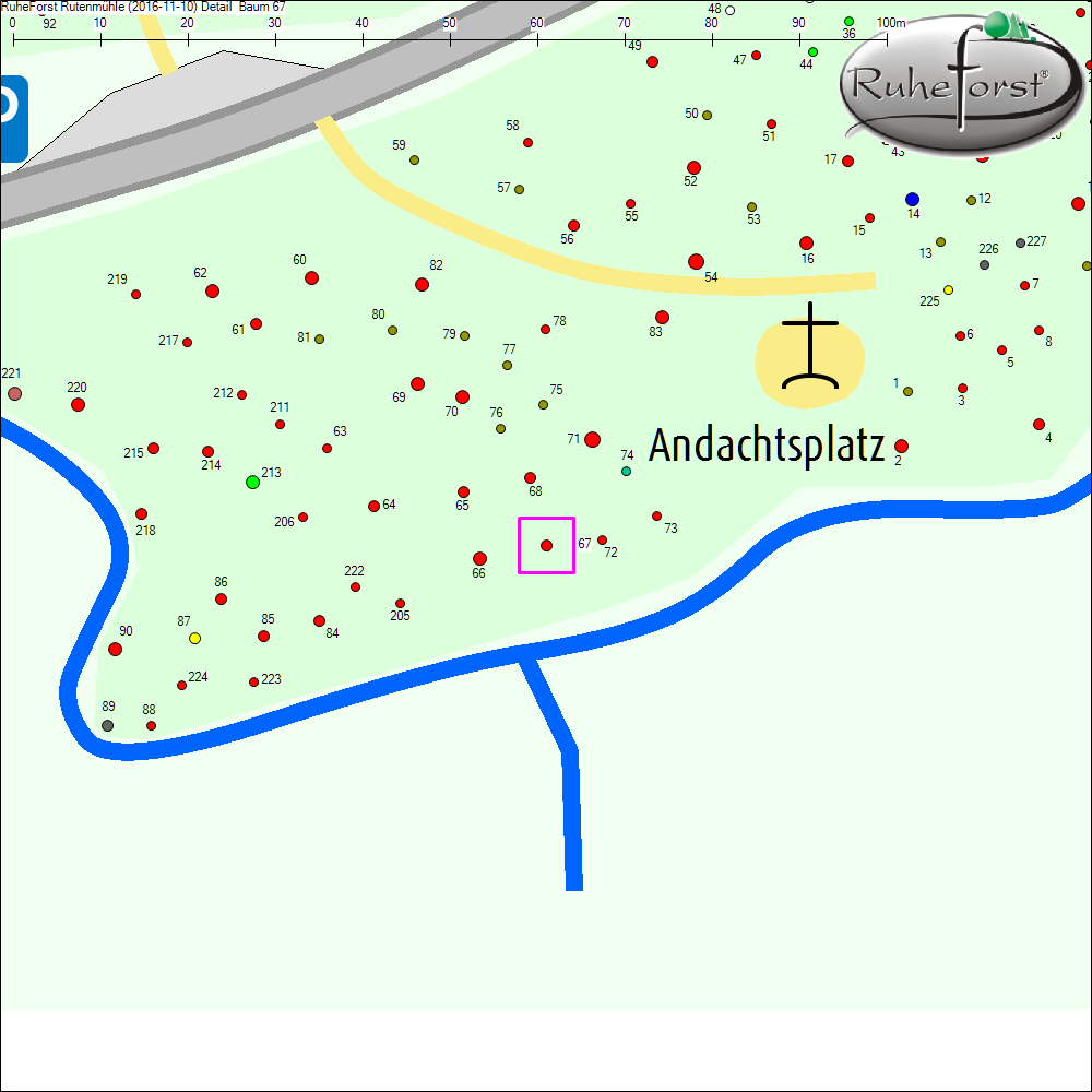 Detailkarte zu Baum 67