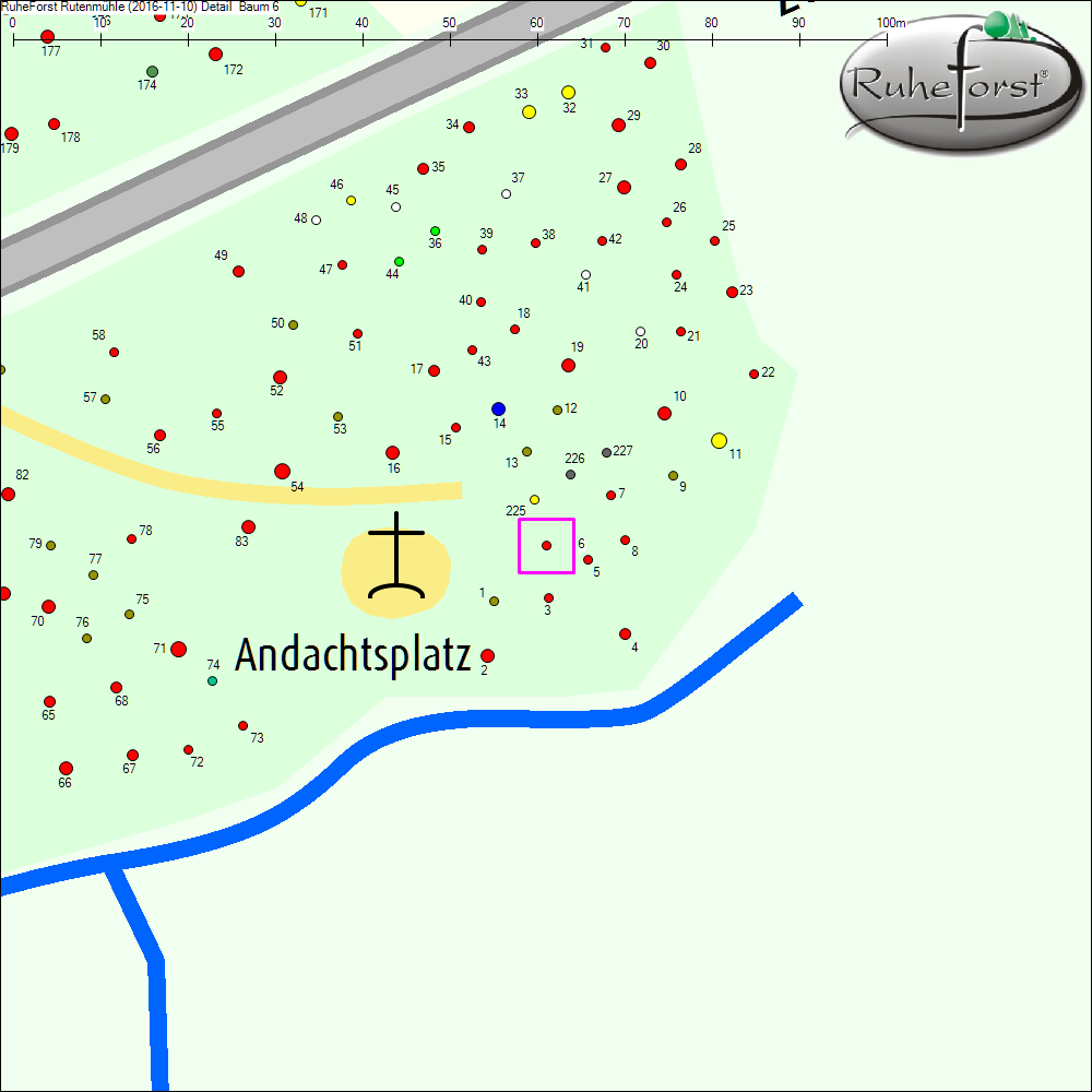 Detailkarte zu Baum 6