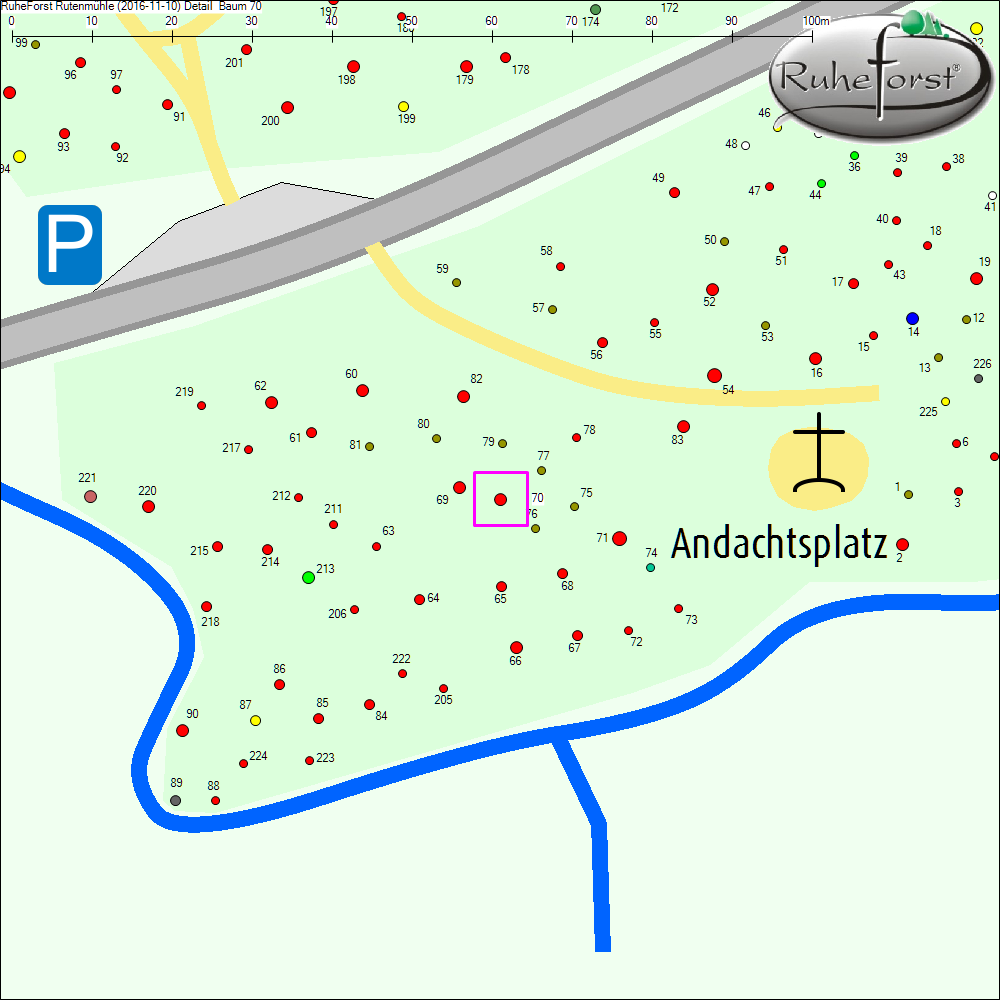 Detailkarte zu Baum 70