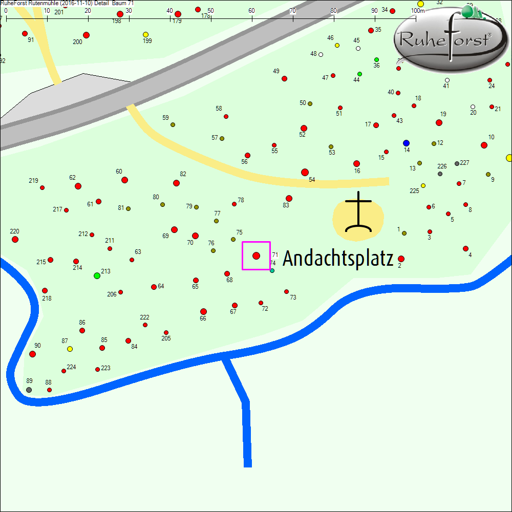 Detailkarte zu Baum 71