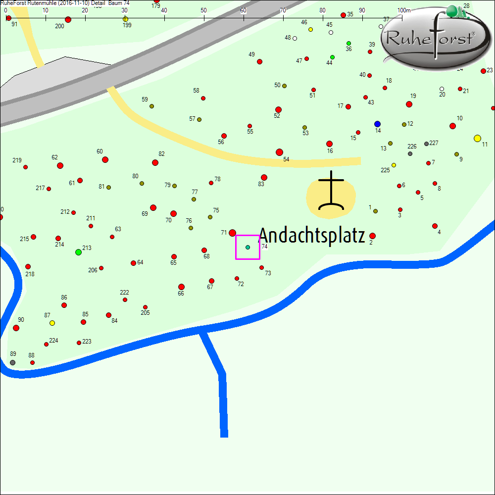 Detailkarte zu Baum 74