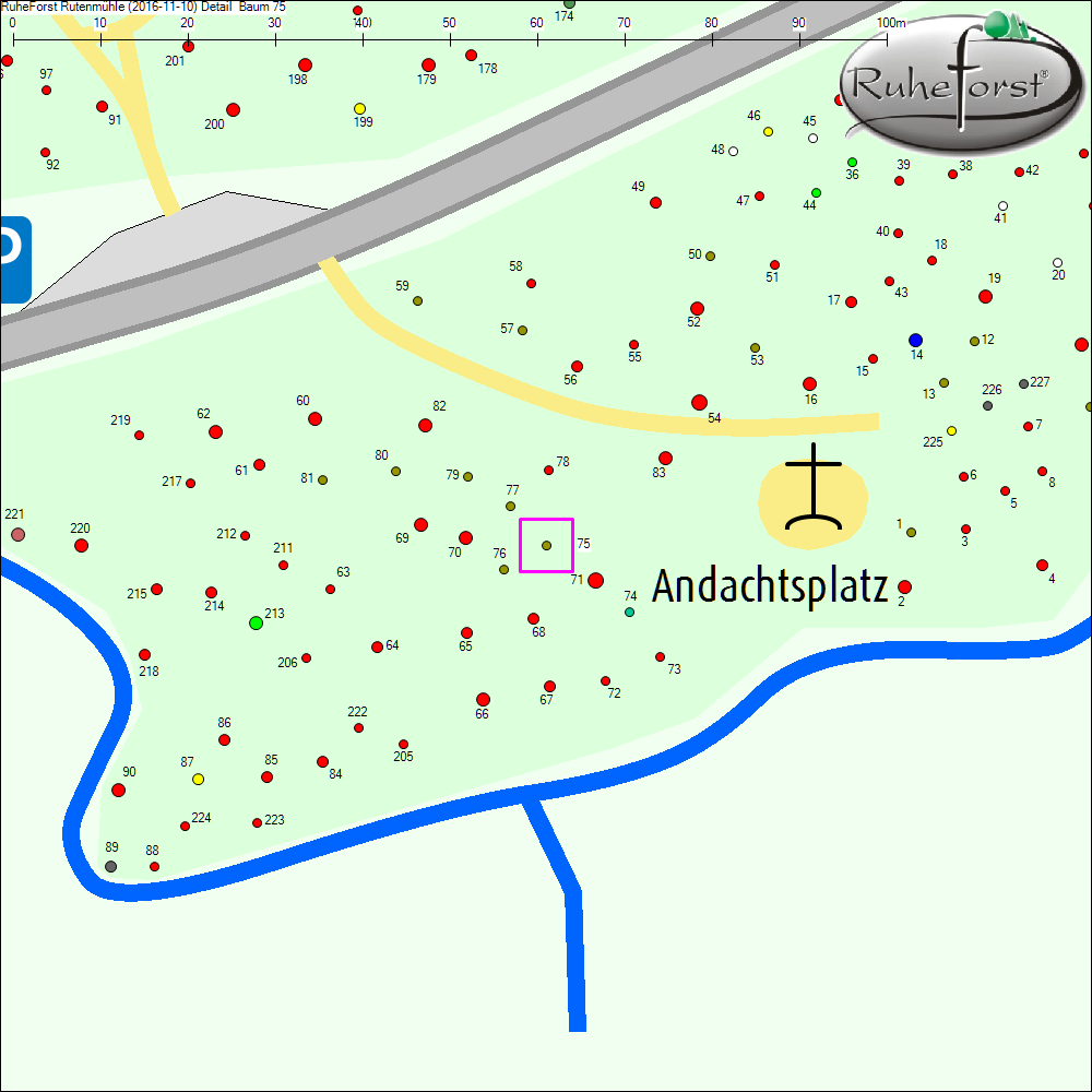 Detailkarte zu Baum 75