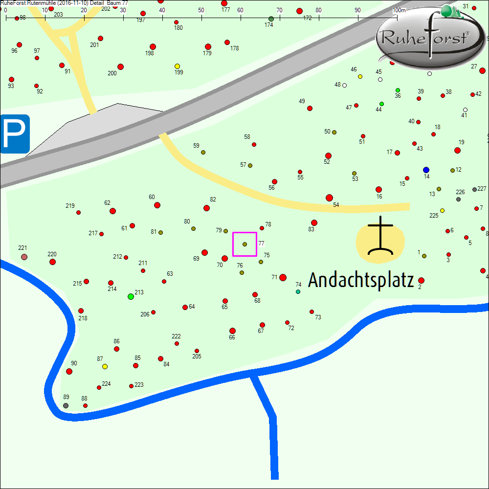Detailkarte zu Baum 77