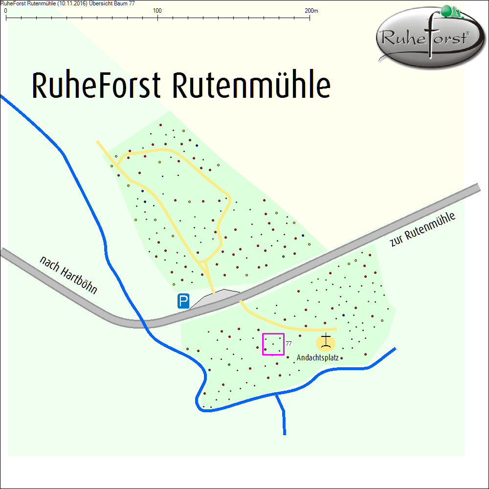 &Uuml;bersichtskarte zu Baum 77
