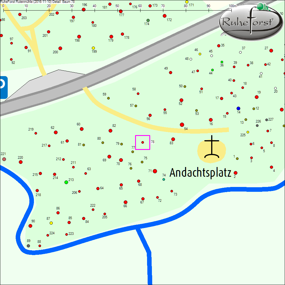 Detailkarte zu Baum 78