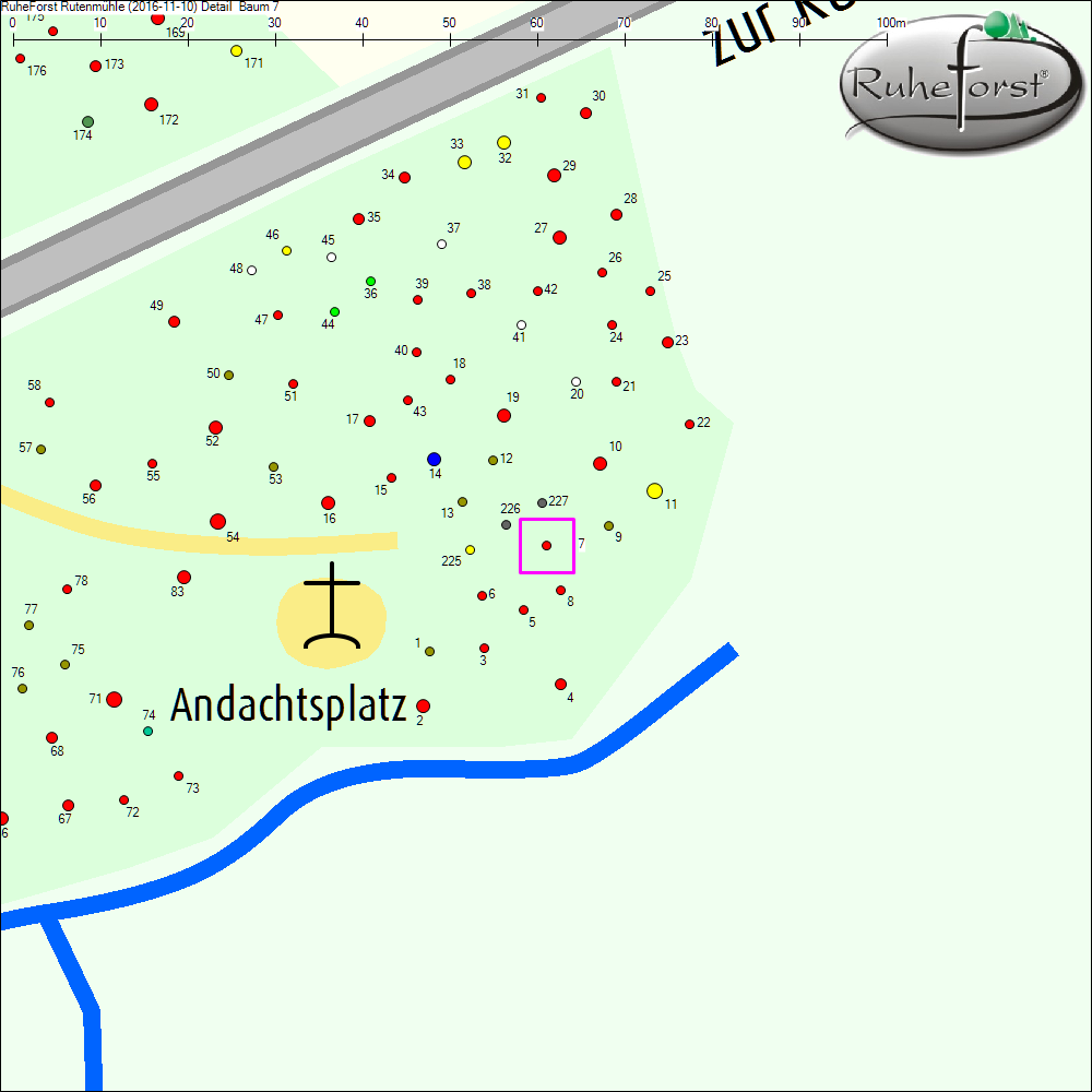 Detailkarte zu Baum 7