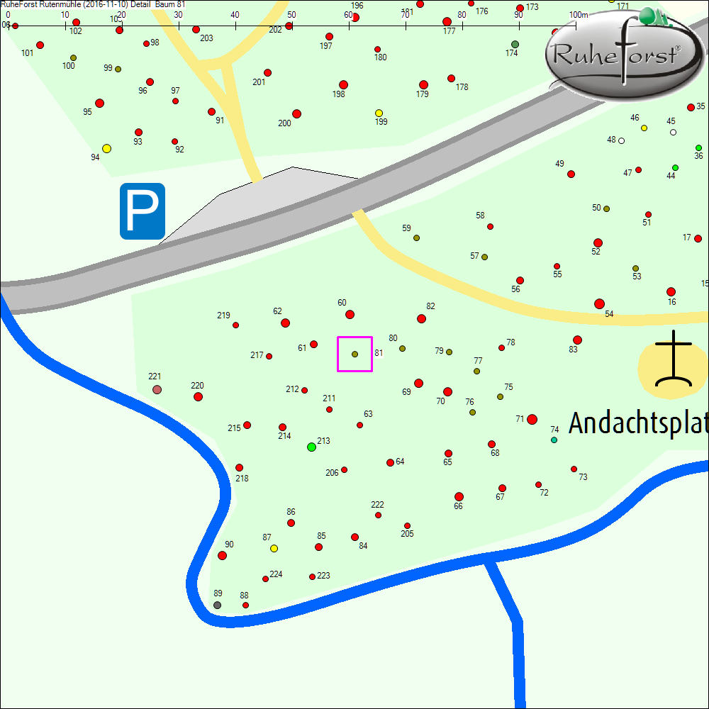 Detailkarte zu Baum 81