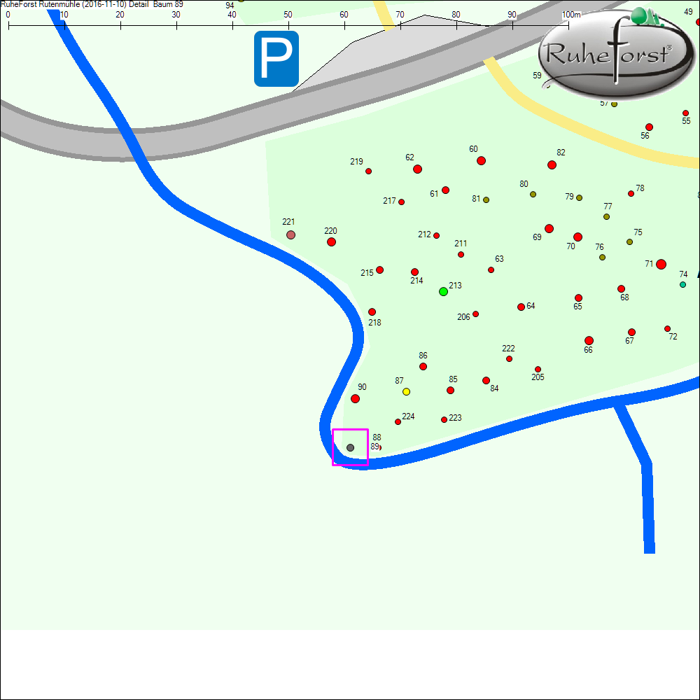 Detailkarte zu Baum 89