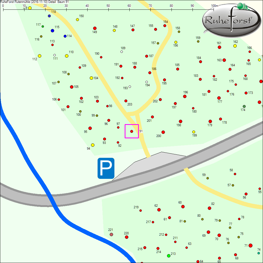 Detailkarte zu Baum 91