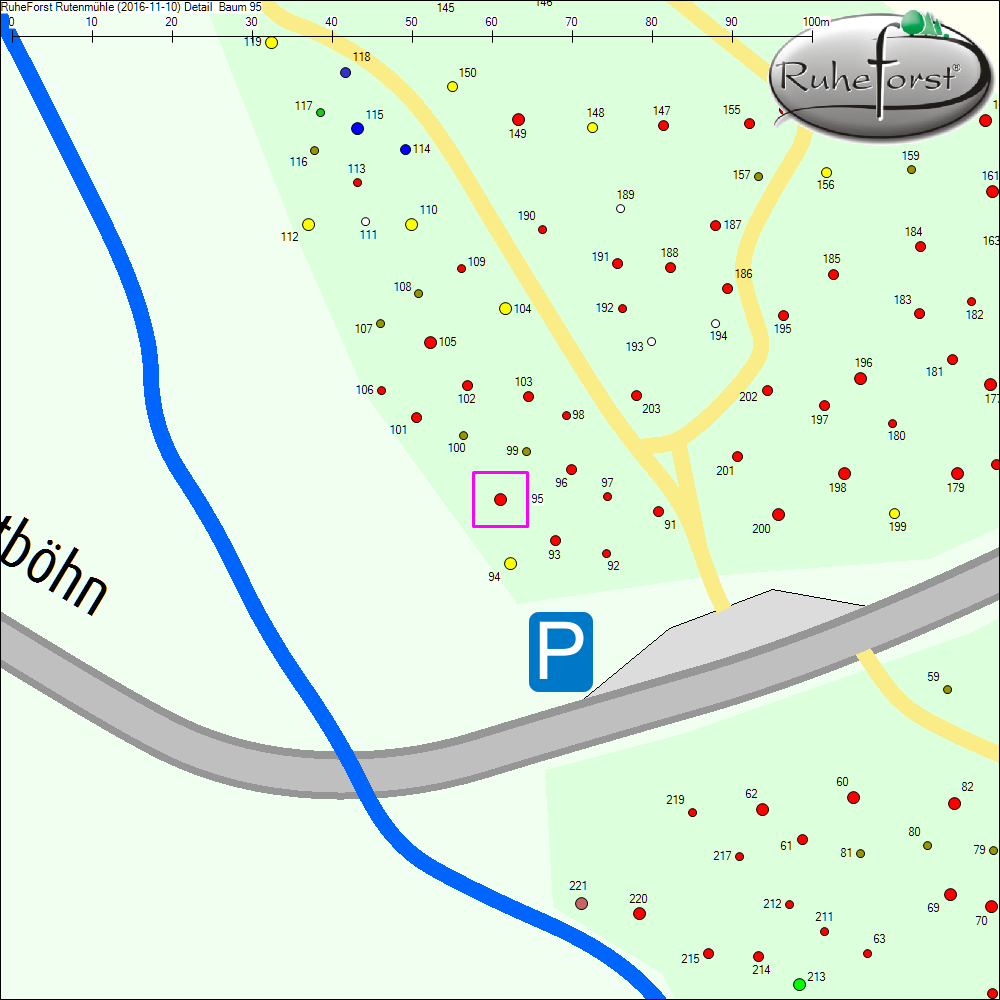 Detailkarte zu Baum 95