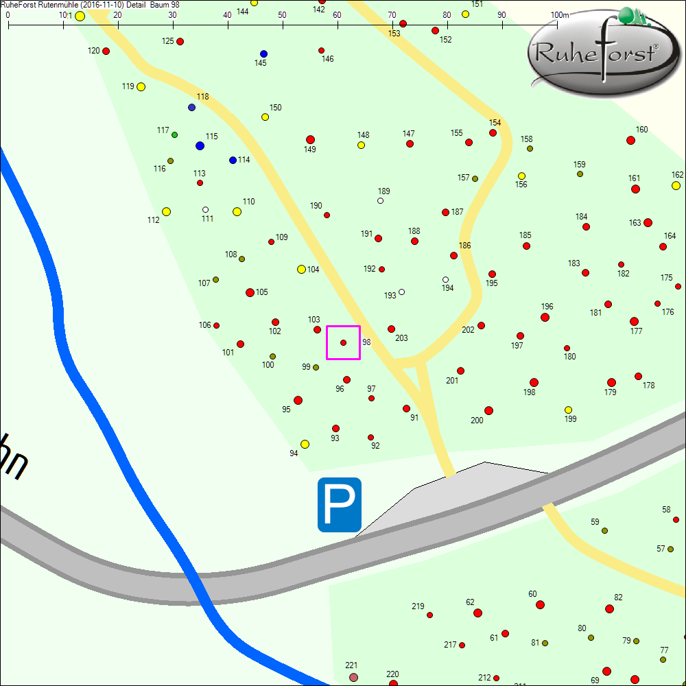 Detailkarte zu Baum 98