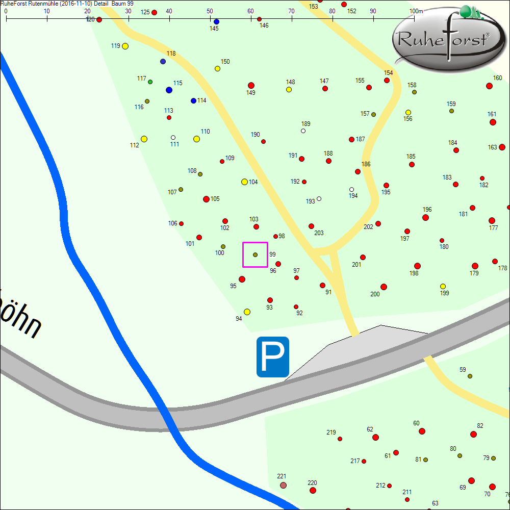 Detailkarte zu Baum 99