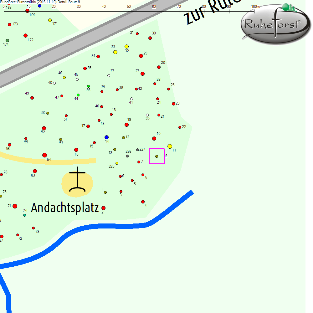 Detailkarte zu Baum 9